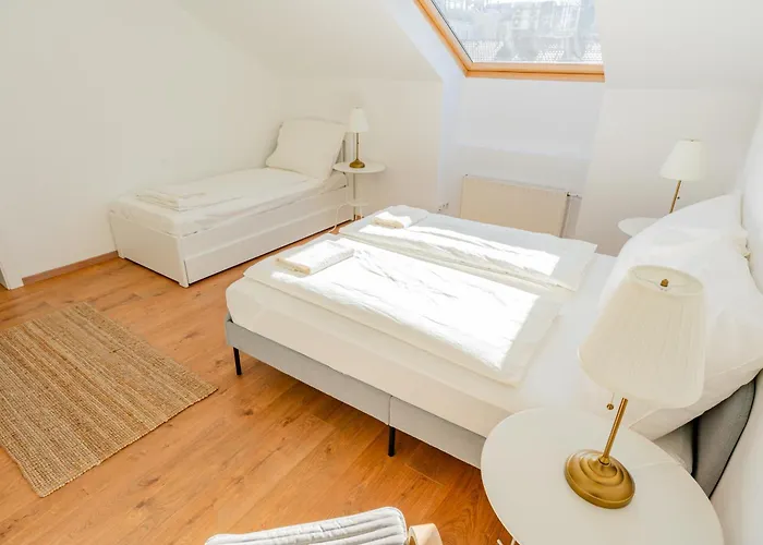 Luxury Penthouse - Augarten
